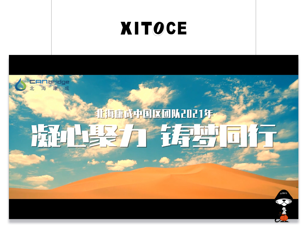 XITOCE 弦拓文化(huà)&北(běi)海康成 品牌精神宣傳視頻(pín)